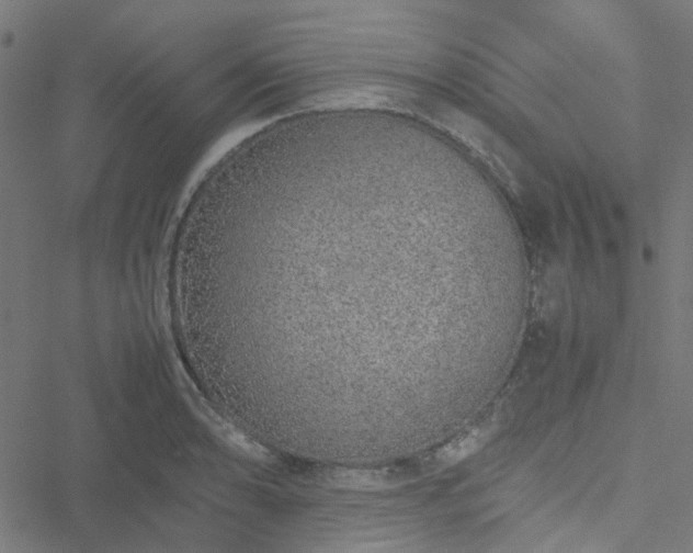 X0000051251086200506241540