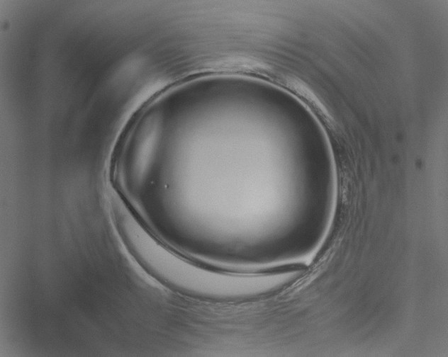 X0000051251087200506241540