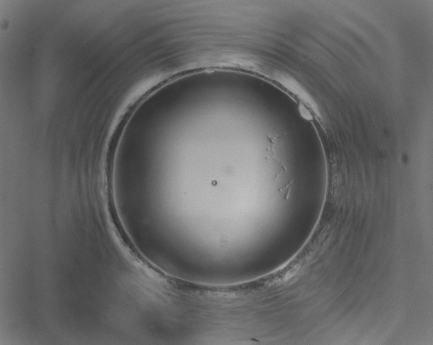 X0000051251088200506241540