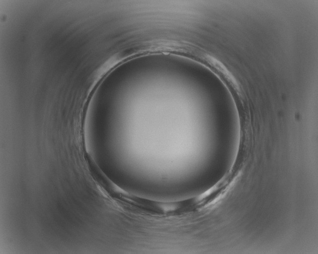 X0000051251089200506241540