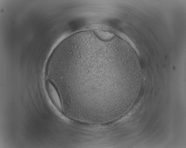 X0000051251091200506241540