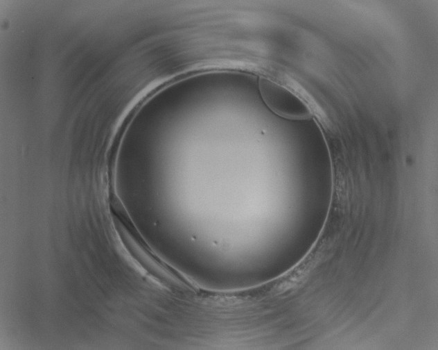 X0000051251092200506241540