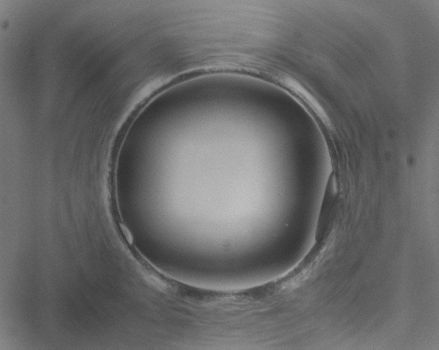 X0000051251093200506241540