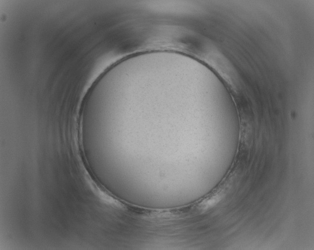 X0000051251094200506241540