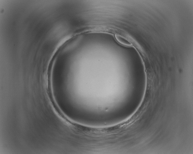 X0000051251095200506241540