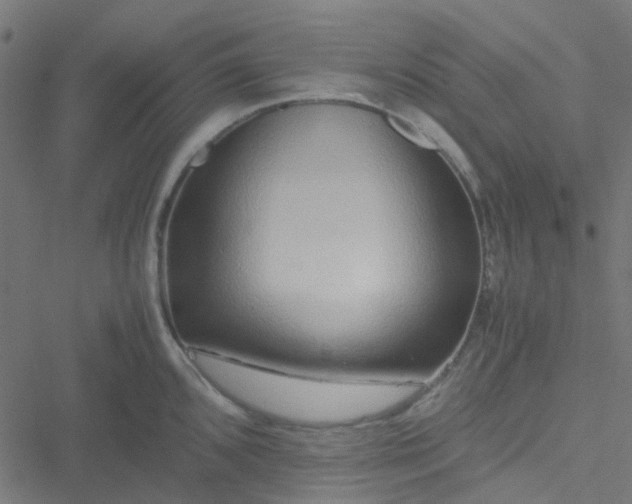 X0000051251096200506241540