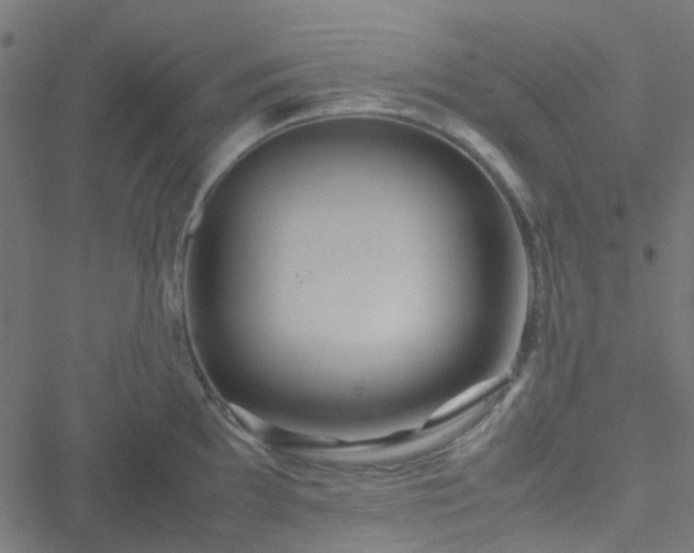 X0000051251097200506241540