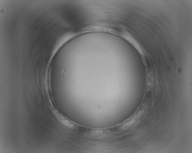 X0000051251098200506241540