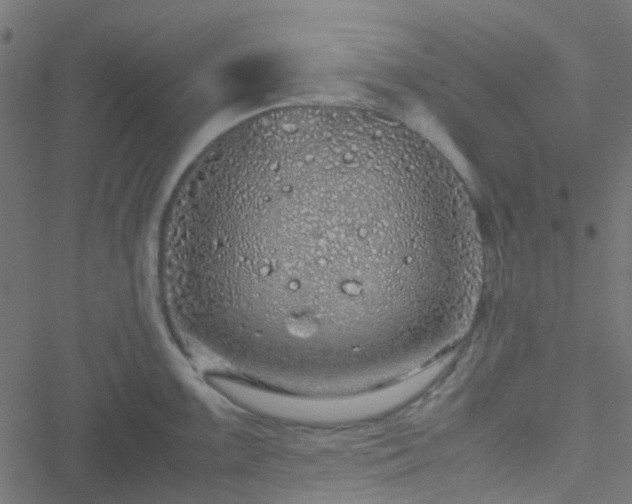 X0000051251099200506241540