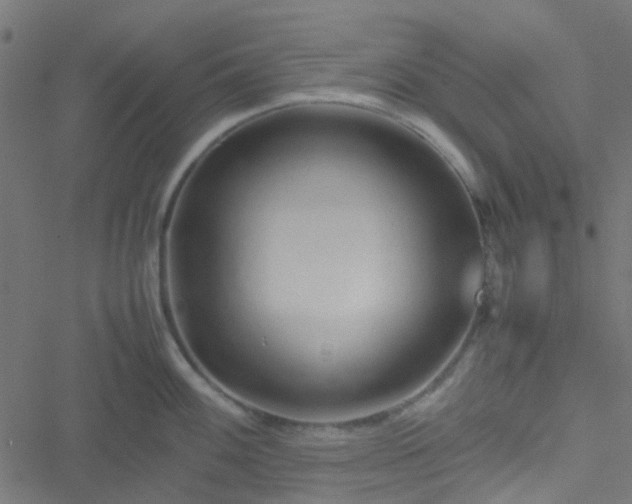 X0000051251100200506241540