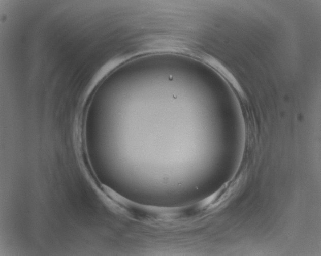 X0000051251101200506241540