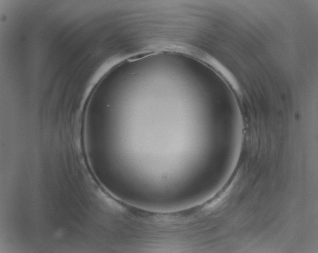 X0000051251102200506241540