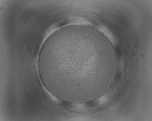 X0000051251103200506241540