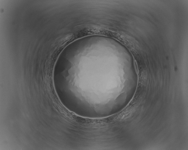 X0000051251105200506241539