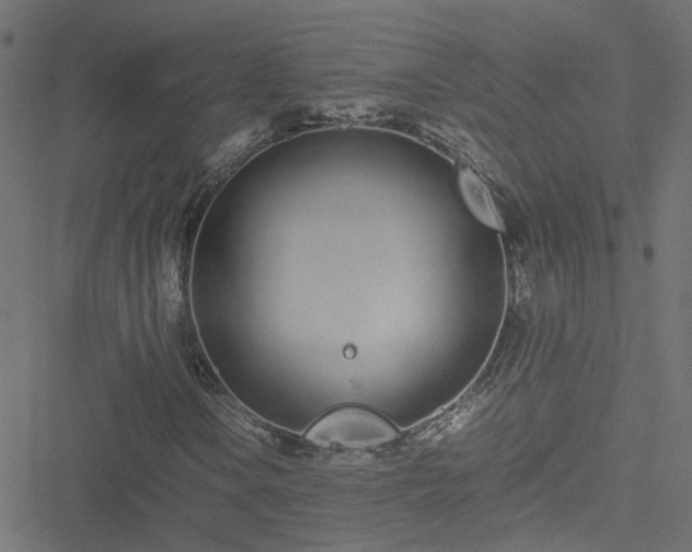 X0000051251106200506241539