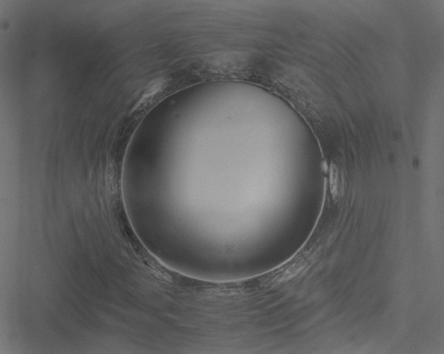 X0000051251107200506241539