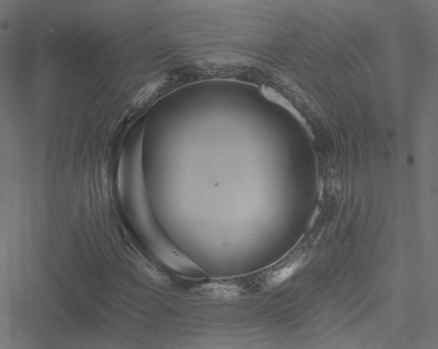 X0000051251108200506241539