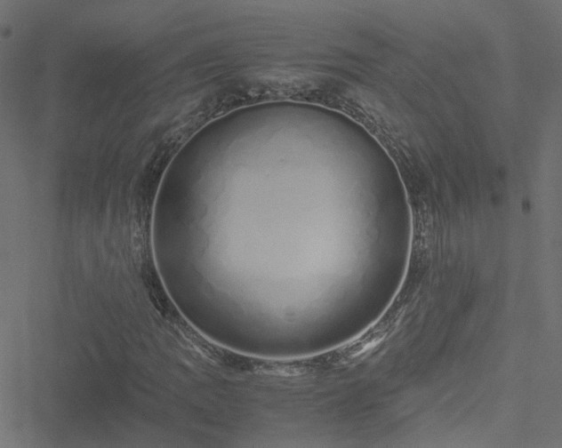 X0000051251109200506241539