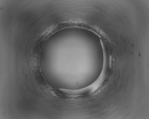 X0000051251110200506241539