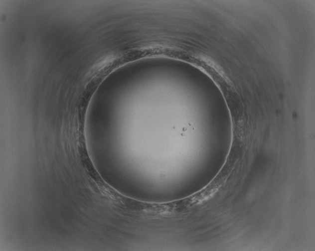 X0000051251111200506241539