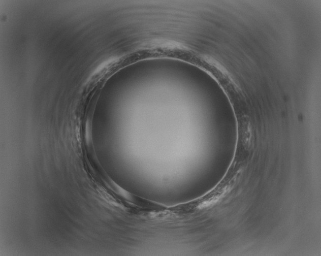 X0000051251112200506241539