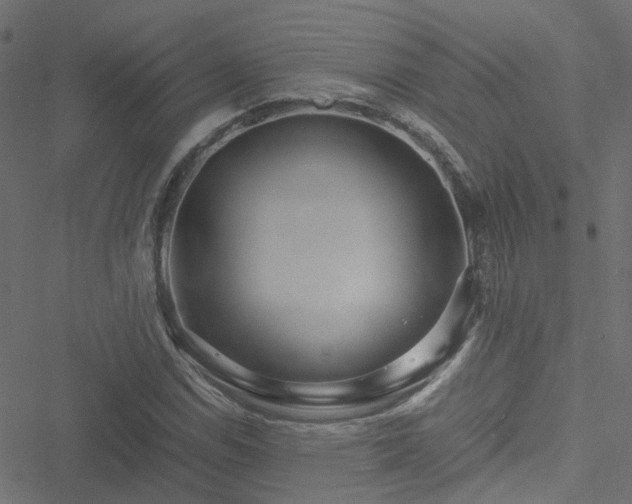 X0000051251114200506241539