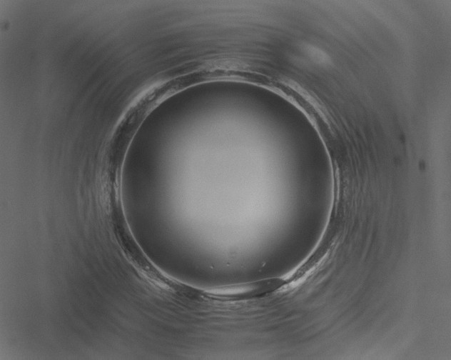 X0000051251115200506241539