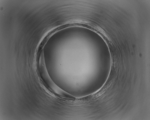 X0000051251116200506241539