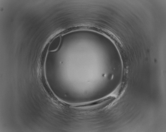 X0000051251117200506241539