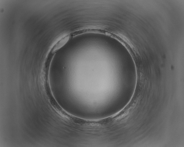 X0000051251119200506241540