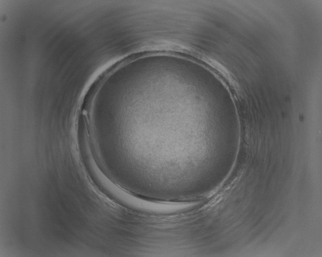 X0000051251120200506241540