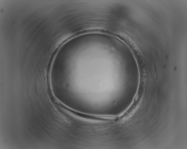 X0000051251121200506241540