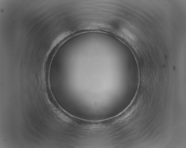 X0000051251122200506241540