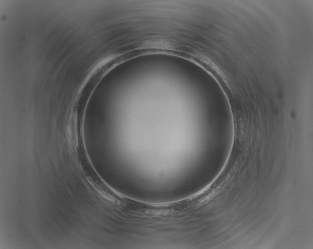 X0000051251123200506241540