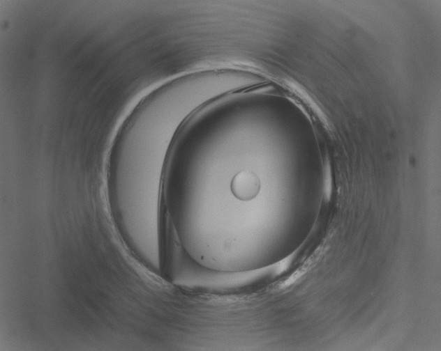 X0000051251124200506241540