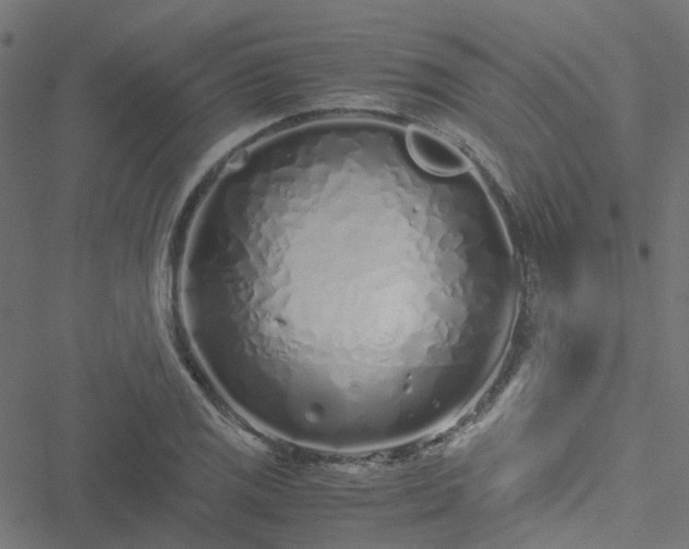 X0000051251125200506241540