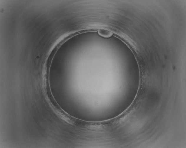 X0000051251126200506241540