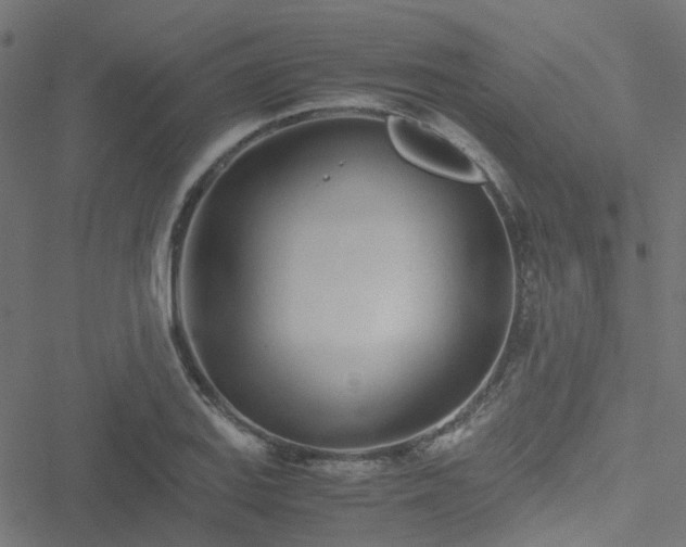 X0000051251127200506241540