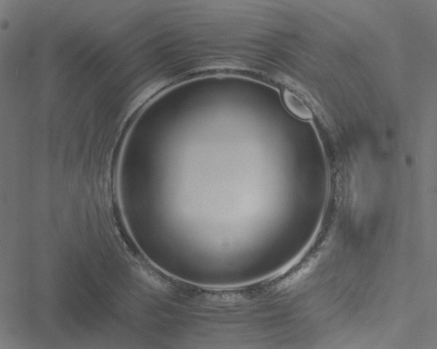 X0000051251129200506241540