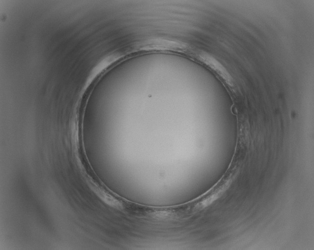 X0000051251130200506241540