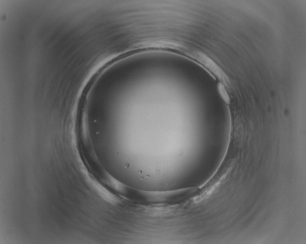 X0000051251132200506241540