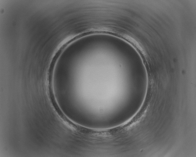 X0000051251133200506241540