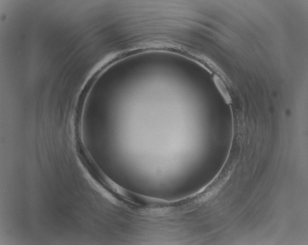 X0000051251134200506241540