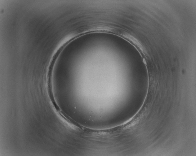 X0000051251135200506241540