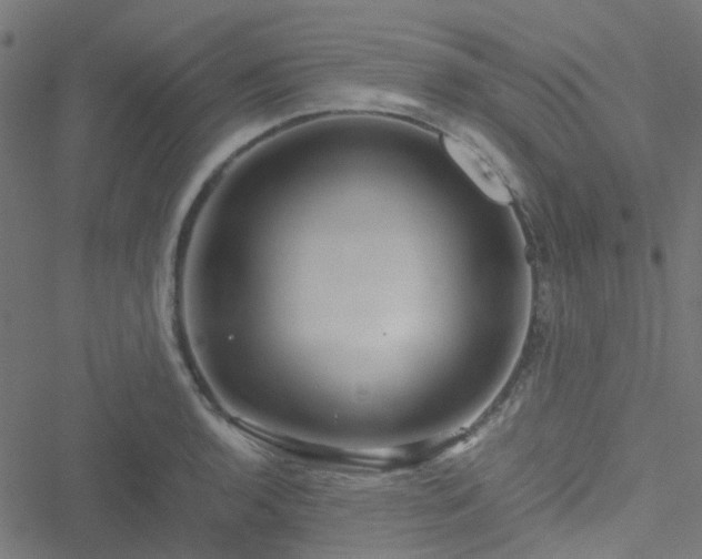 X0000051251136200506241540