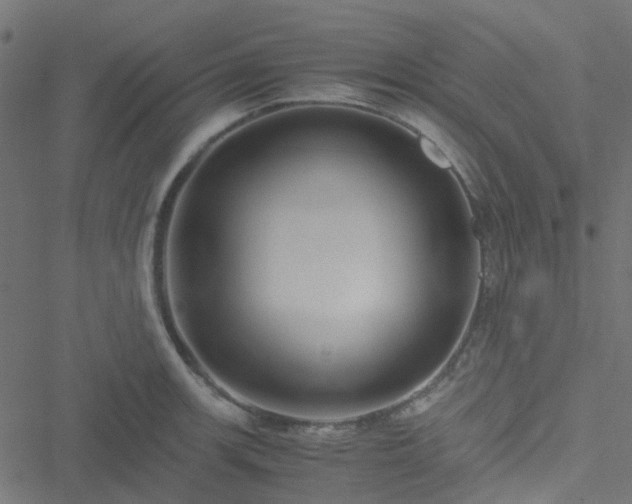 X0000051251139200506241540