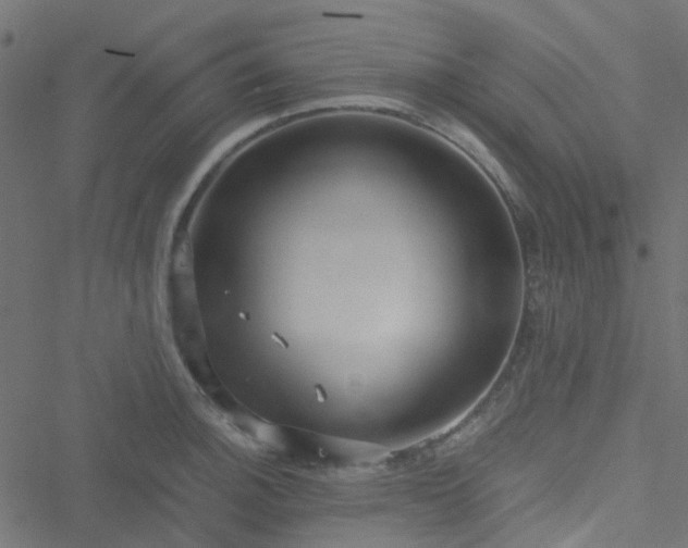 X0000051251140200506241540