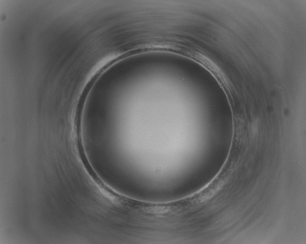 X0000051251141200506241540