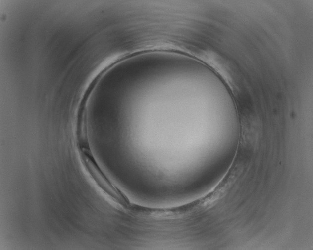 X0000051251142200506241540