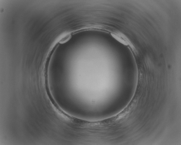 X0000051251143200506241540